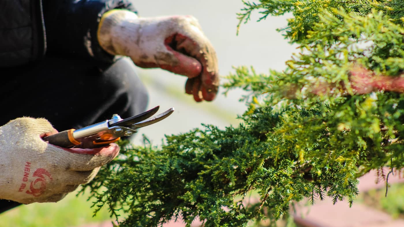 Sprzęt ogrodniczy, narzędzia ogrodnicze Fiskars
